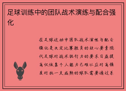 足球训练中的团队战术演练与配合强化